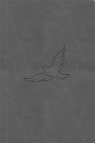 Bible21 – kapesní