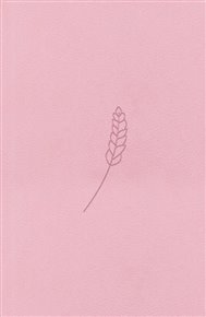 Bible21 – kapesní