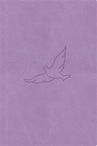 Bible21 – kapesní