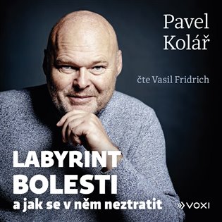 Labyrint bolesti, mp3 - Pavel Kolář