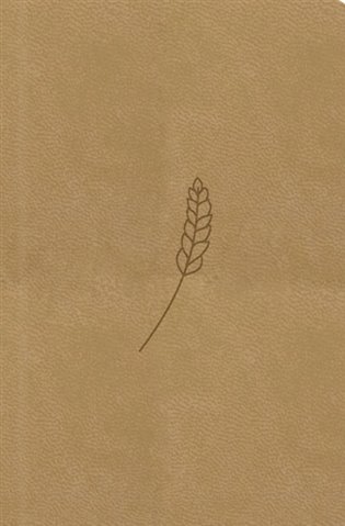 Bible21 – kapesní