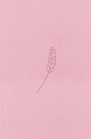 Bible21 – kapesní