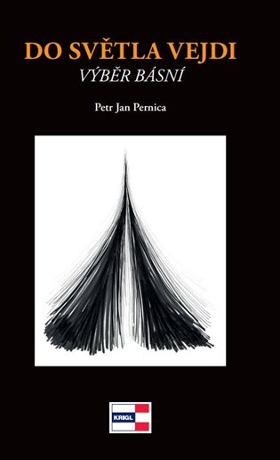 Do světla vejdi - Petr Jan Pernica