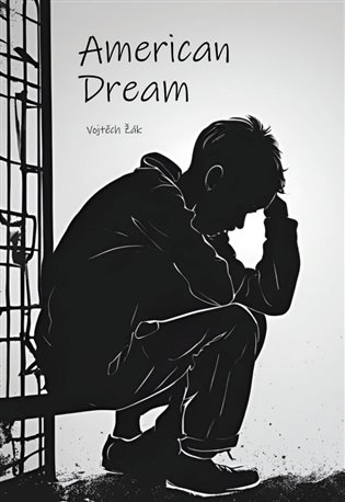 American dream - Zdeněk Žák