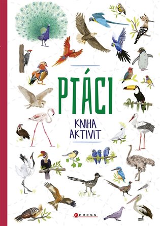 Ptáci - kniha aktivit -  kolektiv