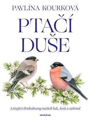Ptačí duše: Létající drahokamy našich luk, zahrad a lesů - 