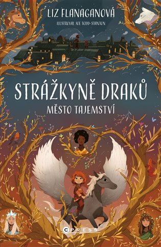 Strážkyně draků: Město tajemství - Liz Flanaganová
