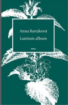 Lamium album - Anna Bartáková