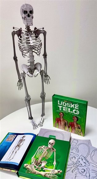 Lidské tělo - Zábavná encyklopedie - Čti, uč se a skládej (Dárkový box - kniha + model)