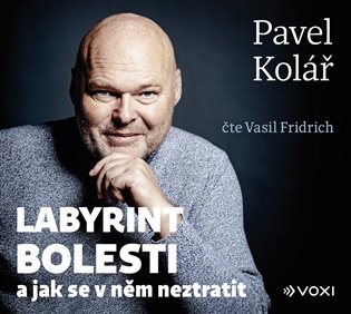 Labyrint bolesti (audiokniha) - Pavel Kolář