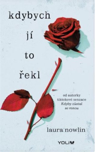 Kdybych jí to řekl - Laura Nowlin