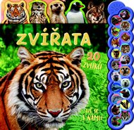Zvířata 20 zvuků Uč se s námi! - James Phoenix