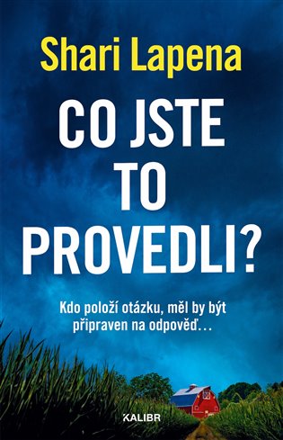 Co jste to provedli? - Shari Lapena