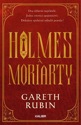 Holmes a Moriarty - Gareth Rubin