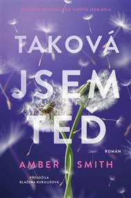 Taková jsem teď - Amber Smith