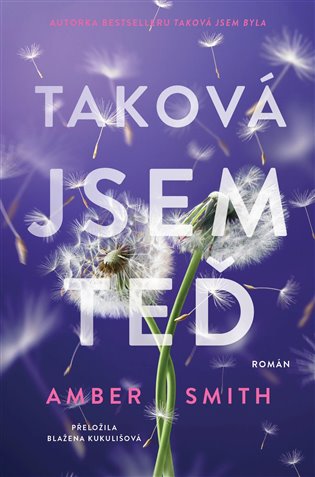 Taková jsem teď - Amber Smith