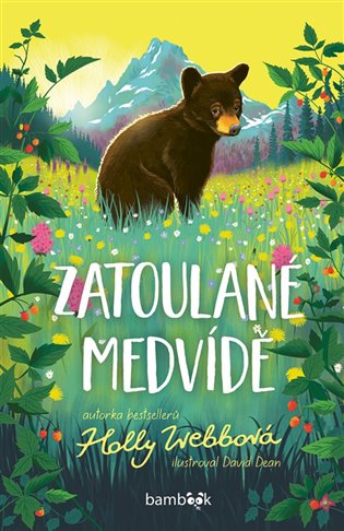 Zatoulané medvídě - Holly Webbová