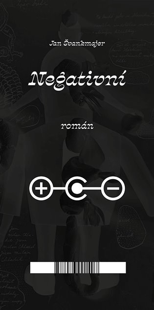 NEGATIVNÍ ROMÁN