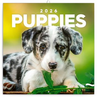 Poznámkový kalendář Štěňata 2026 - 