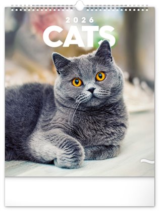 Nástěnný kalendář Kočky 2026 - 