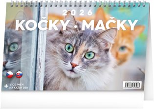 Stolní kalendář Kočky – Mačky CZ/SK 2026 - 