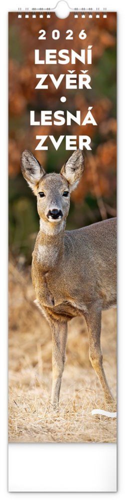 Nástěnný kalendář Lesní zvěř – Lesná zver 2026 - 