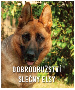 Dobrodružství slečny Elsy - Ladislav Miček