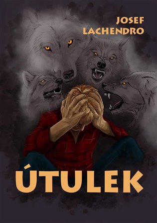 Útulek - Josef Lachendro