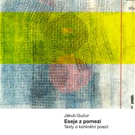 Eseje z pomezí: Texty o konkrétní poesii - Jakub Guziur
