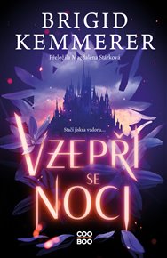 Vzepři se noci - Brigid Kemmerer