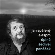 Úplně šedivej panáček - Jan Spálený