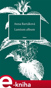 Lamium album - Anna Bartáková