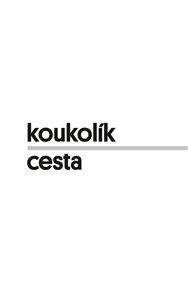 Cesta: Dál je nekončící obzor - František Koukolík