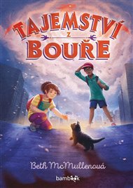Tajemství z bouře - Beth McMullenová