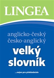 Anglicko-český česko-anglický velký slovník: ...nejen pro překladatele -  kolektiv autorů