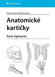 Anatomické kartičky: Kosti, ligamenta - Filip Kolouch, Natálie Musilová