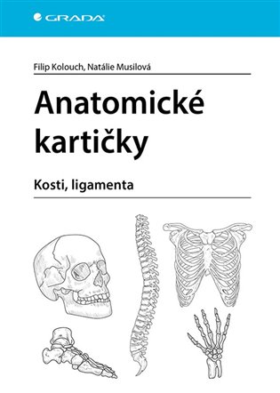Anatomické kartičky: Kosti, ligamenta - Filip Kolouch, Natálie Musilová
