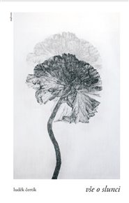 Vše o slunci - Luděk Čertík