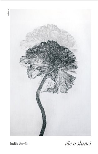 Vše o slunci - Luděk Čertík