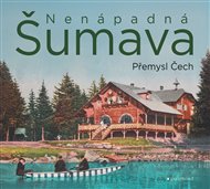 Nenápadná Šumava - Přemysl Čech
