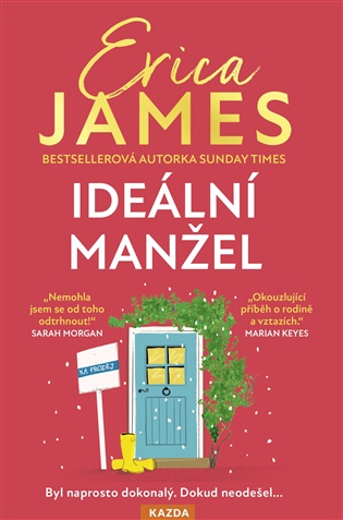Ideální manžel - Erica James