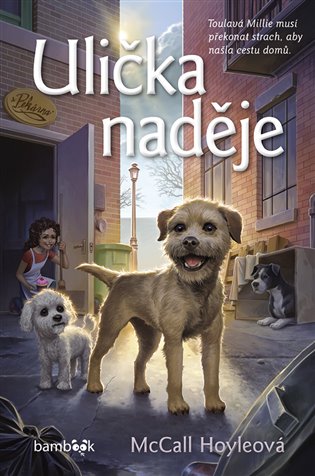Ulička naděje - McCall Hoyleová