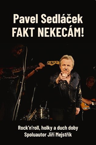 Fakt nekecám!: Rock'n'roll, holky a duch doby - Jiří Mejstřík, Pavel Sedláček