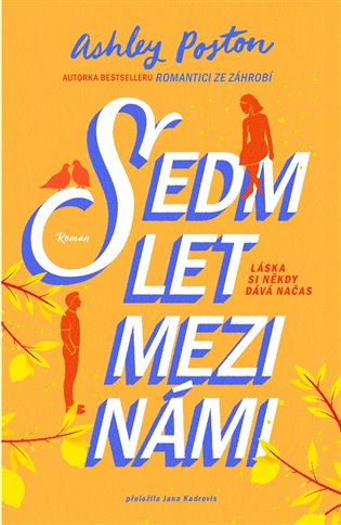 Sedm let mezi námi - Ashley Poston