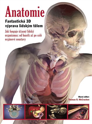 Anatomie - Thomas O. McCracken (ed.)