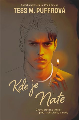 Kde je Nate - Tess M. Puffrová