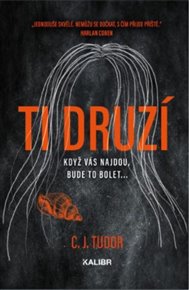 Ti druzí - C. J. Tudor