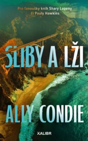 Sliby a lži - Ally Condieová