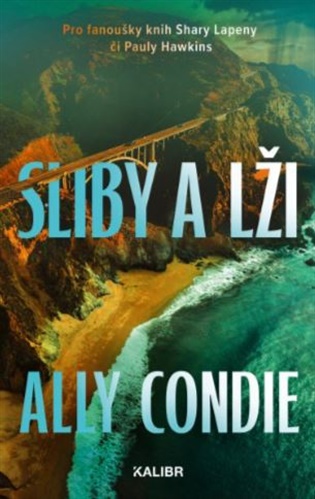 Sliby a lži - Ally Condieová