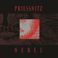 Nebel -  Priessnitz